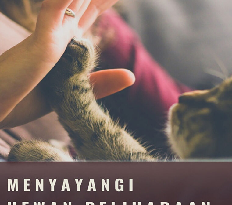 Menyayangi Hewan Peliharaan dengan Baik