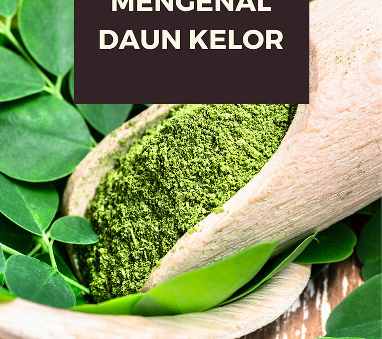 Belajar dan Mengenal Daun Kelor