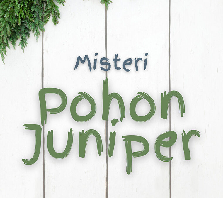 Misteri Pohon Juniper