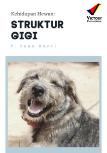 Kehidupan Hewan: Struktur Gigi