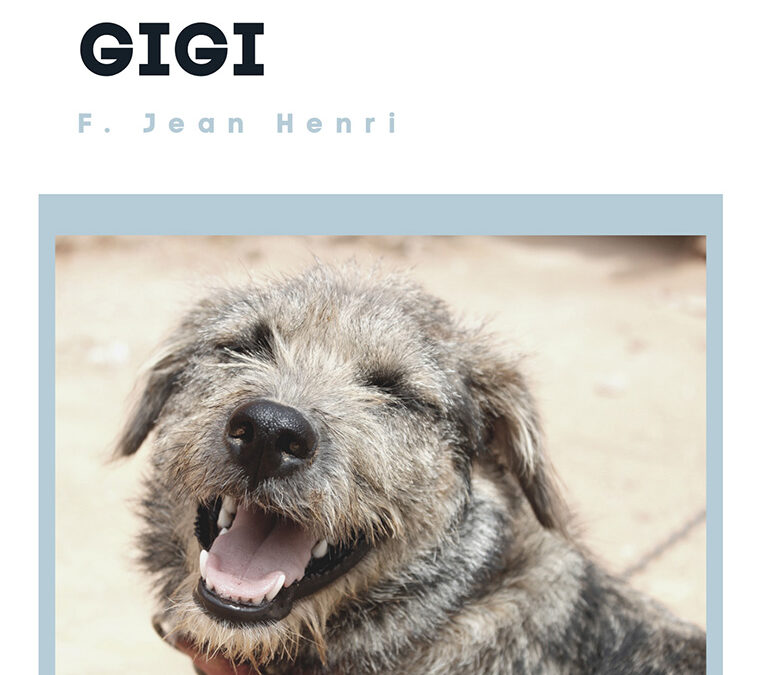 Kehidupan Hewan: Struktur Gigi