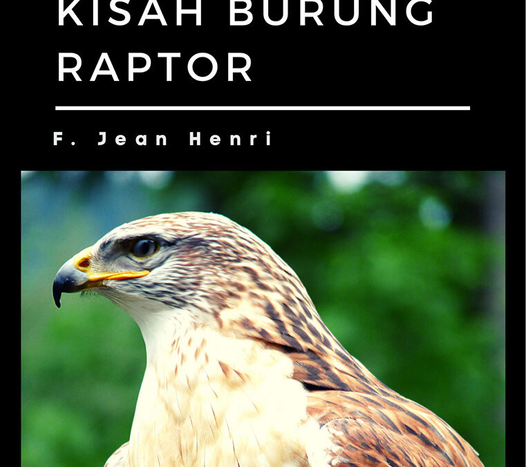 Kehidupan Hewan: Kisah Burung Raptor