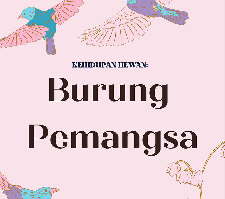 Kehidupan Hewan: Burung Pemangsa