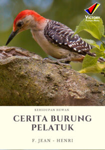 Kehidupan Hewan: Cerita Burung Pelatuk