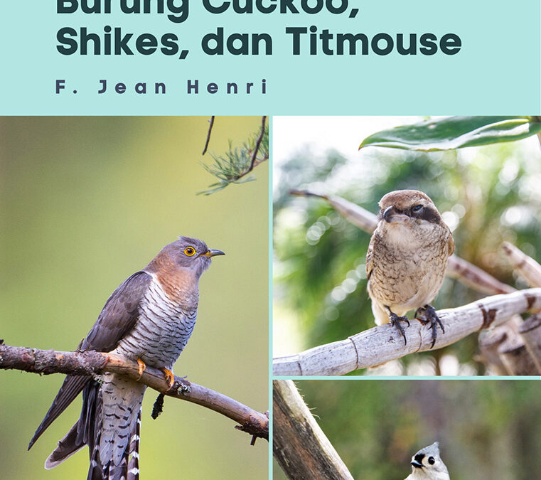 Kehidupan Hewan: Burung Cuckoo, Shikes, dan Titmouse