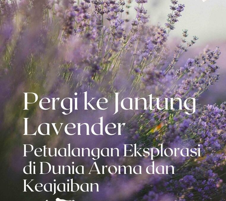 Pergi ke Jantung Lavender: Petualangan Eksplorasi di Dunia Aroma dan Keajaiban